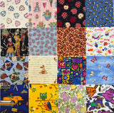 48 I Spy Charm Squares