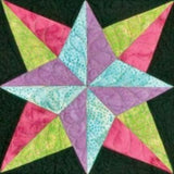 AccuQuilt #55051 Blazing Star