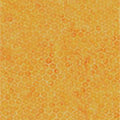Batik Textiles #5552 - 1/2 Yard