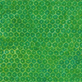 Batik Textiles #5553 - 1/2 Yard