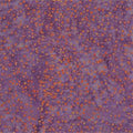 Batik Textiles #5556 - 1/2 Yard