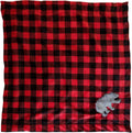 Minky Hotcake Bearclaw Cuddle Kit Quilt Kit