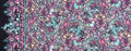 Robert Kaufman Effervescence AAQ-11209-278 Atmosphere
