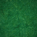 Batik Textiles #0218 - 1/2 Yard