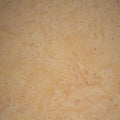 Batik Textiles #4627 - 1/2 Yard