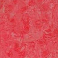 Batik Textiles #4806 - 1/2 Yard