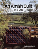 An Amish Quilt in a Day