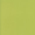 Bella Solid Pistachio #9900 134