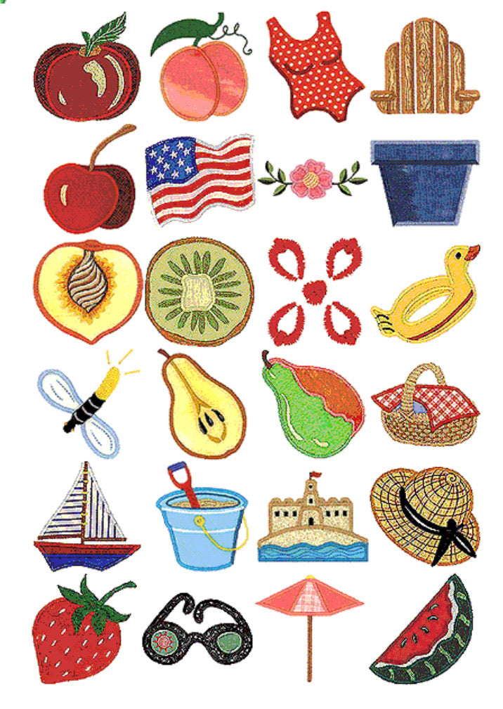Cactus Punch Celebration of Summer Applique