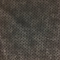 Scaredy Cat Dots #14547 Black